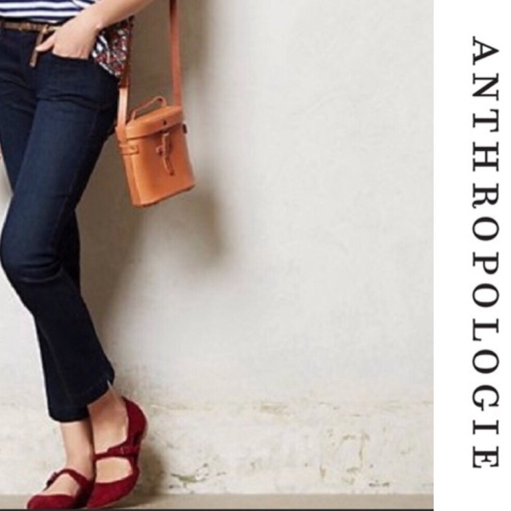Level 99 Lily Crop Skinny Straight Jeans